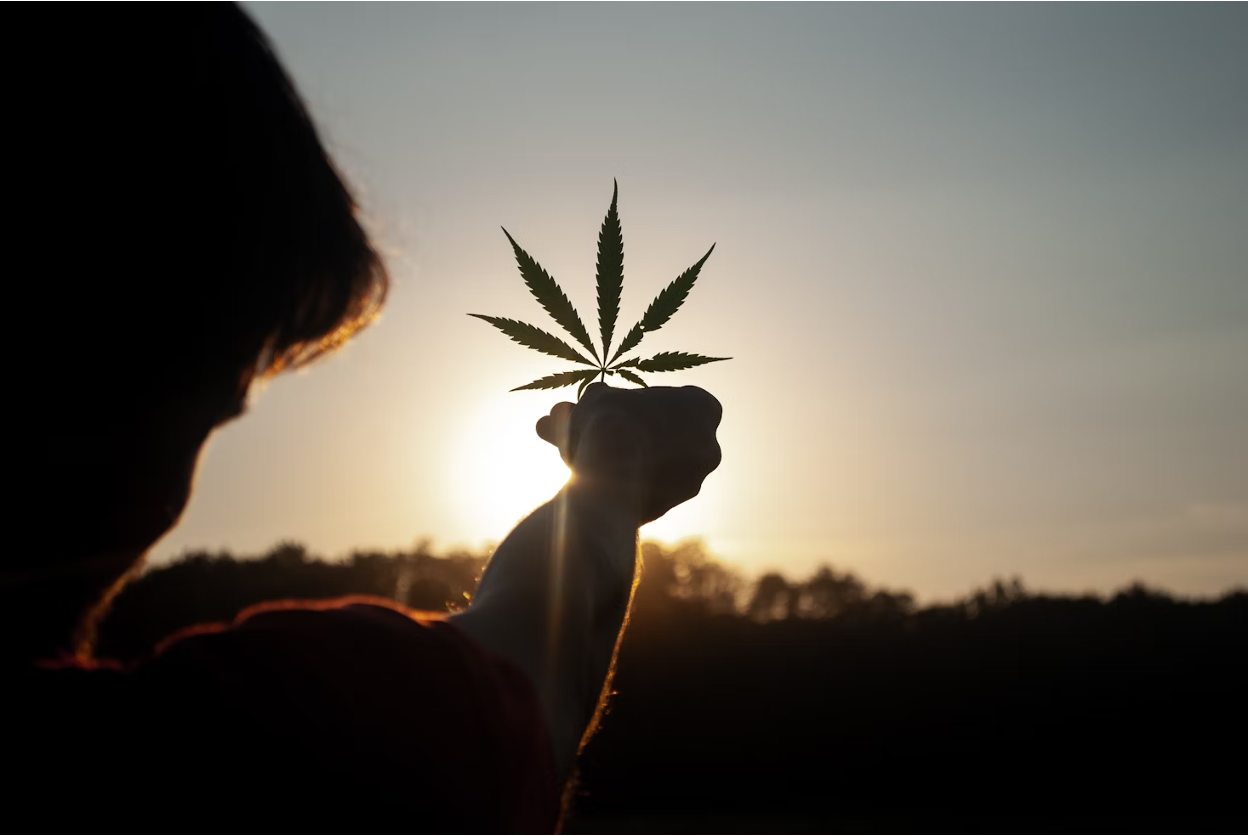 Is Hemp Legal? A State-by-State Breakdown for 2025