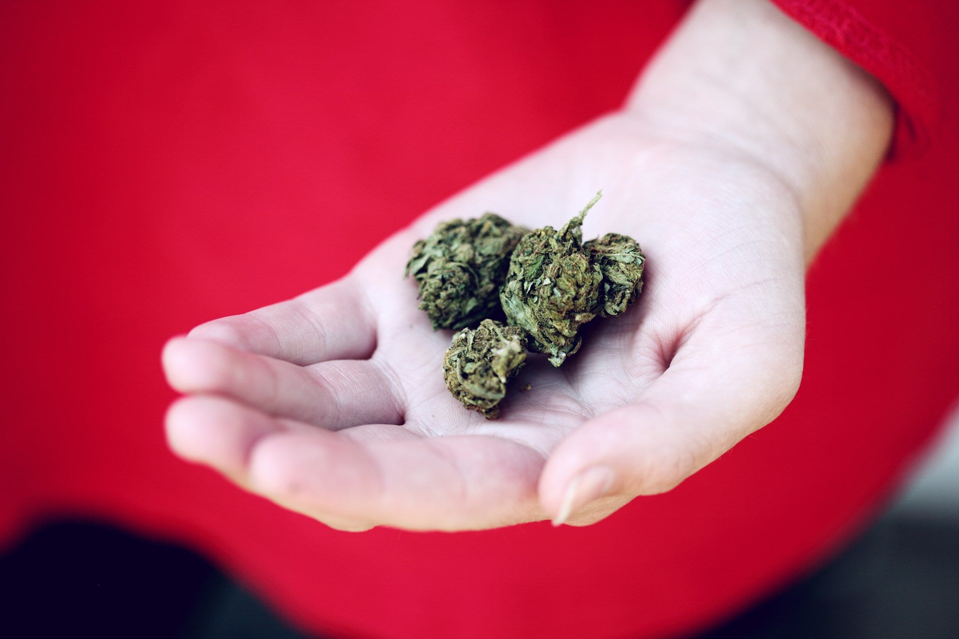 Explore Delta 8 THC Consumption Methods: Finding the Perfect Technique to Enhance Your Cannabinoid Experience
