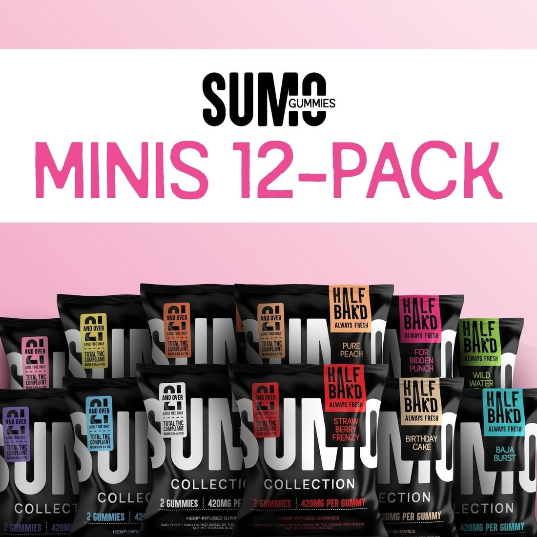 Build Your Minis Twelve‑Pack